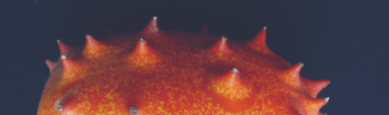 6 trendów w designie, które zwiększą konwersję sklepu internetowego 