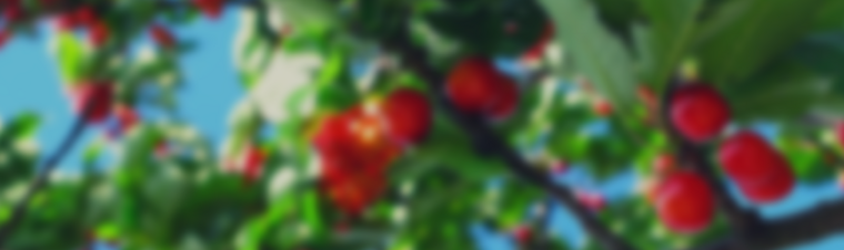 Offer targeting: how to boost product feed conversion rate? 